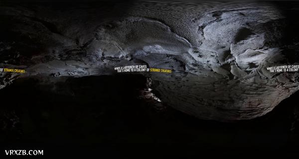 【360° VR】探寻最美萤火虫洞穴