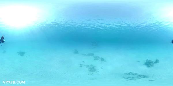 【360° VR】海豚天堂