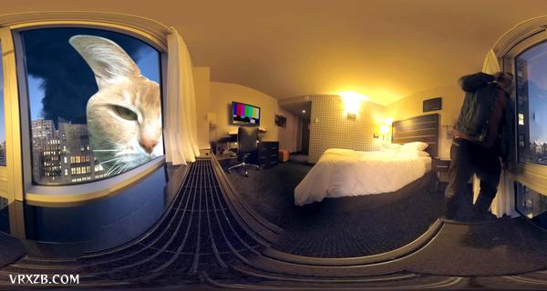【360° VR】猫斯拉 - 凯蒂猫