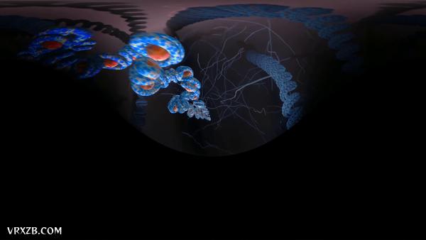 【360° VR】由一颗精子体验生命诞生！