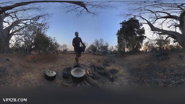 【360° VR】走进非洲奥卡万戈沼泽象群