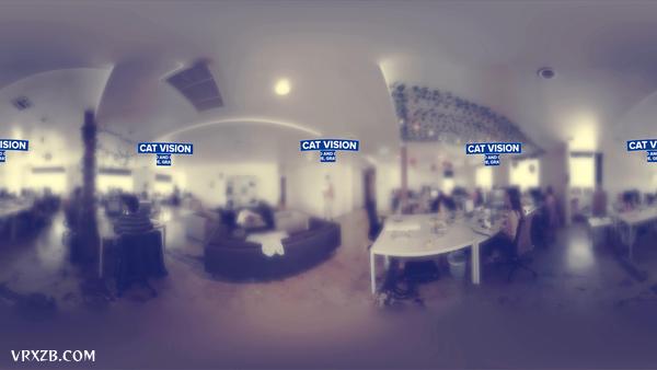 【360° VR】不同动物眼中的世界
