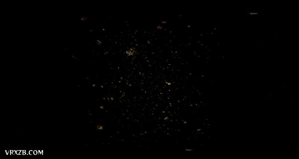 【360° VR】金箔Kinpaku
