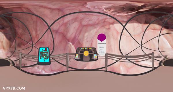 【360° VR】食物在人体的消化过程