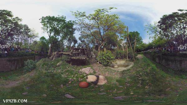 【360° VR】中国成都熊猫基地,8K航拍视频
