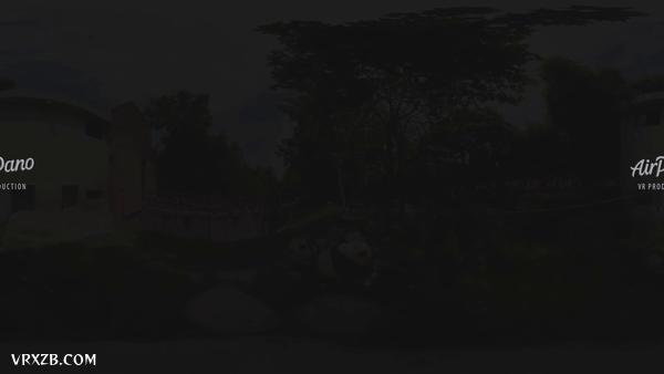 【360° VR】中国成都熊猫基地,8K航拍视频