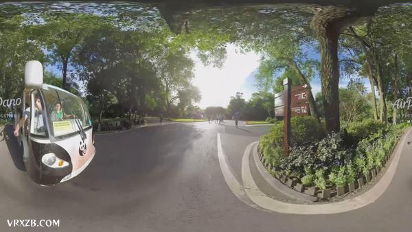 【360° VR】中国成都熊猫基地,8K航拍视频