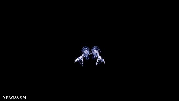 【360° VR】人体探秘